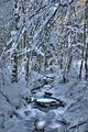 inselsberg_01_2017_hdr_105