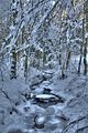 inselsberg_01_2017_hdr_106