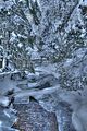inselsberg_01_2017_hdr_108