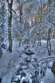 inselsberg_01_2017_hdr_109