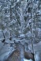 inselsberg_01_2017_hdr_110