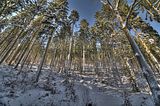 inselsberg_01_2017_hdr_111