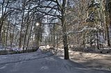 inselsberg_01_2017_hdr_113