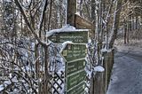 inselsberg_01_2017_hdr_114