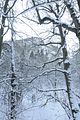 inselsberg_01_2017_001