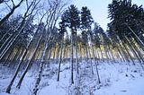 inselsberg_01_2017_002