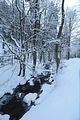 inselsberg_01_2017_003