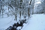 inselsberg_01_2017_004