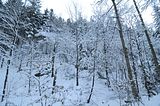 inselsberg_01_2017_005