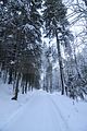 inselsberg_01_2017_006