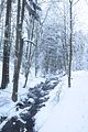 inselsberg_01_2017_007
