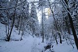 inselsberg_01_2017_008
