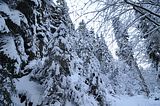 inselsberg_01_2017_009