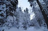 inselsberg_01_2017_010