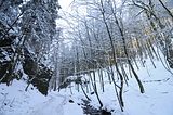 inselsberg_01_2017_012