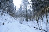 inselsberg_01_2017_013