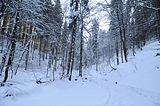 inselsberg_01_2017_014