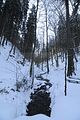 inselsberg_01_2017_015