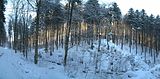 inselsberg_01_2017_016