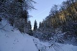 inselsberg_01_2017_017