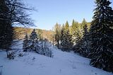 inselsberg_01_2017_020