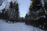 inselsberg_01_2017_021
