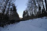 inselsberg_01_2017_022