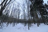 inselsberg_01_2017_023