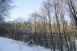 inselsberg_01_2017_024