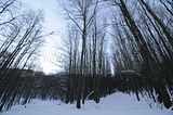 inselsberg_01_2017_026