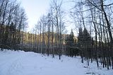 inselsberg_01_2017_027