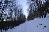 inselsberg_01_2017_028