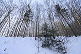 inselsberg_01_2017_030