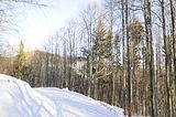 inselsberg_01_2017_032