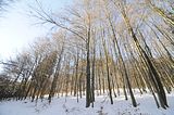 inselsberg_01_2017_033