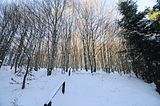 inselsberg_01_2017_035