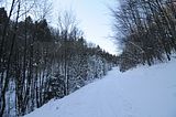 inselsberg_01_2017_036