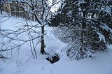 inselsberg_01_2017_037