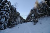 inselsberg_01_2017_038