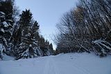 inselsberg_01_2017_039