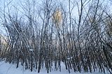 inselsberg_01_2017_040
