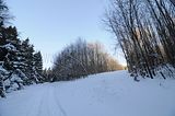 inselsberg_01_2017_041