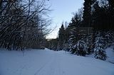 inselsberg_01_2017_042