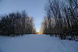inselsberg_01_2017_043