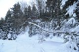 inselsberg_01_2017_044