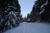 inselsberg_01_2017_045