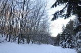 inselsberg_01_2017_046