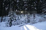 inselsberg_01_2017_047