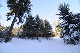 inselsberg_01_2017_048