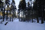 inselsberg_01_2017_049